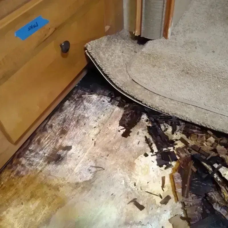 Wood Floor Water Damage in Kenvil, NJ